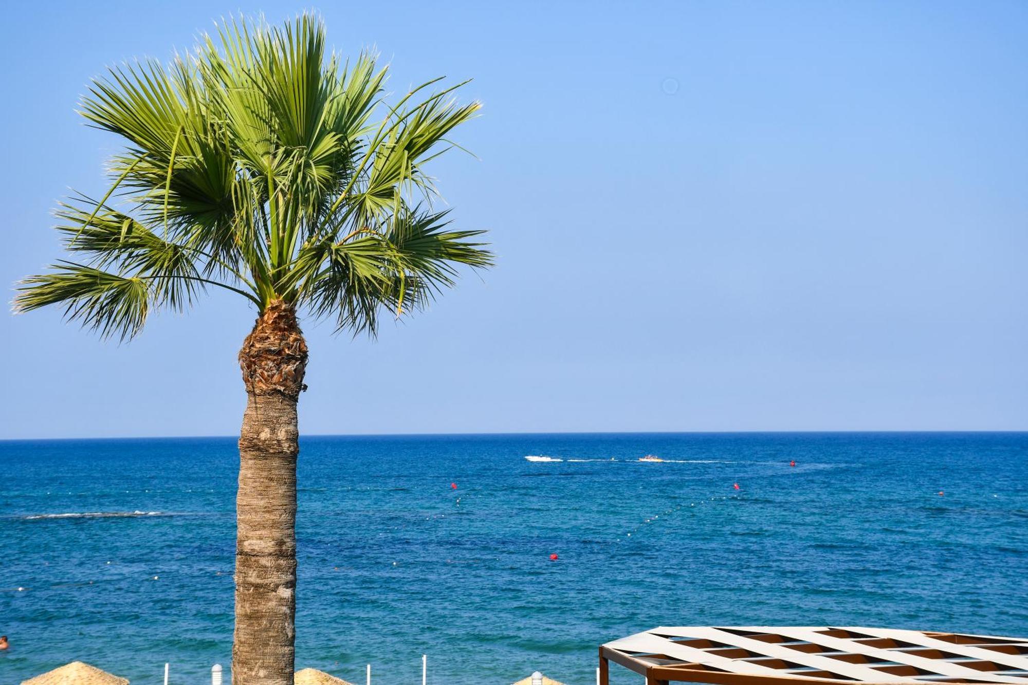Mimoza Beach Hotel Agios Sergios Extérieur photo